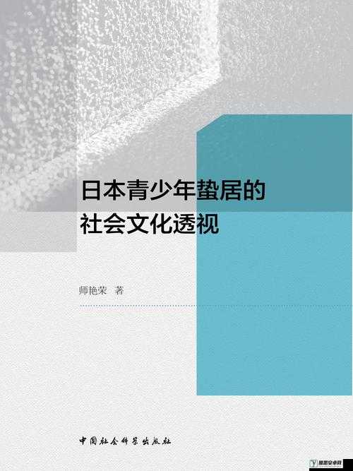 1213 岁 macbookpro 日本：探索其在青少年中的应用与影响